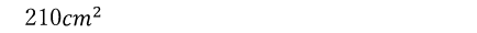 210cm^2