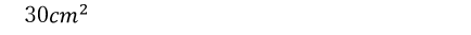 30cm^2